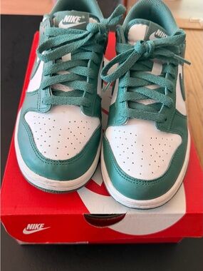 Nike Kids Teal and White Low-Top Sneakers